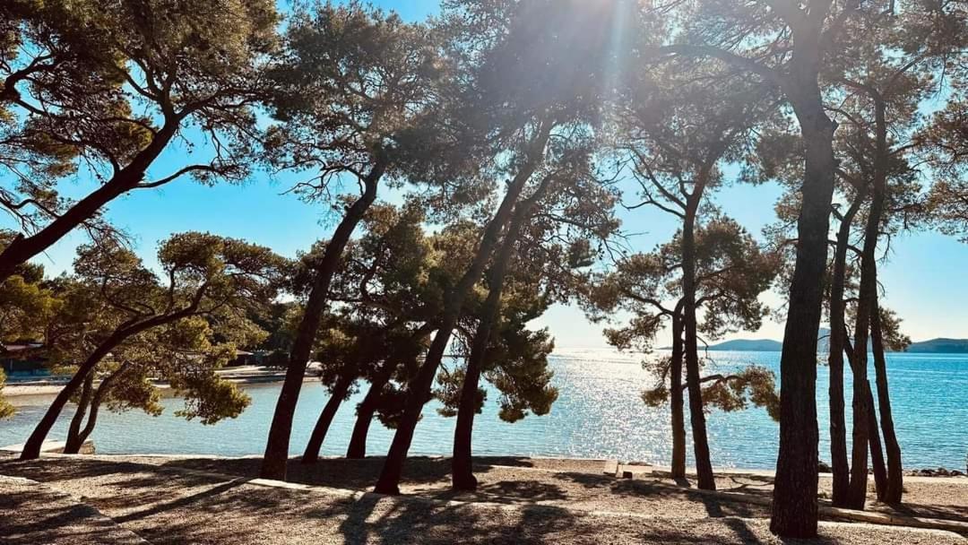 Lana Leilighet Biograd Na Moru Eksteriør bilde